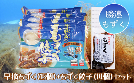 早摘みもずく（15袋）ともずく餃子（12個入×14袋）セット【勝連漁業協同組合】