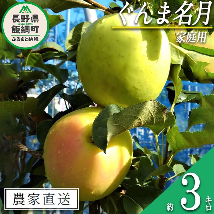 【ふるさと納税】 りんご ぐんま名月 家庭用 3kg 松澤農園 沖縄県への配送不可 令和7年度収穫分 長野県 飯綱町 〔 信州 果物 フルーツ リンゴ 林檎 長野 10500円 予約 農家直送 〕発送時期：2025年11月下旬〜2026年1月上旬 {**}