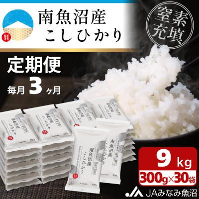 ふるさと納税 南魚沼市 【毎月定期便】＼美味しさ長持ち窒素充填パック/ 南魚沼産こしひかり 精米 小袋300g×30袋全3回