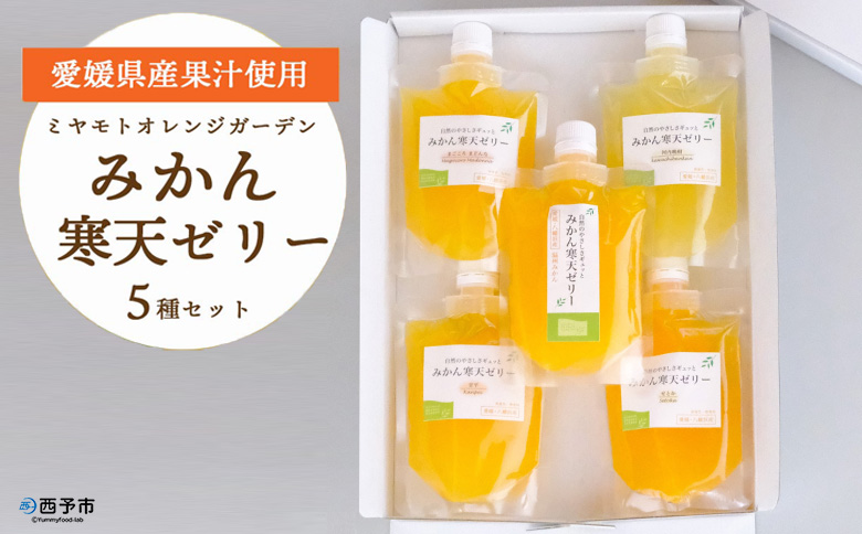 ＜5種の味わい食べ比べ寒天ゼリー＞ 『1か月以内に順次出荷予定』ミヤモトオレンジガーデン 愛媛県 西予市