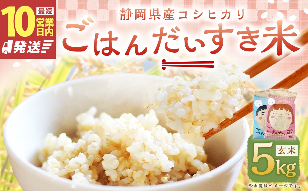
                  【10営業日発送】【令和7年産】静岡県産コシヒカリ 玄米 5kg （5kg×1袋） 【2026年8月下旬迄順次発送予定】 コシヒカリ こしひかり  米 コメ こめ ご飯 ごはん 菊川市 静岡県
                