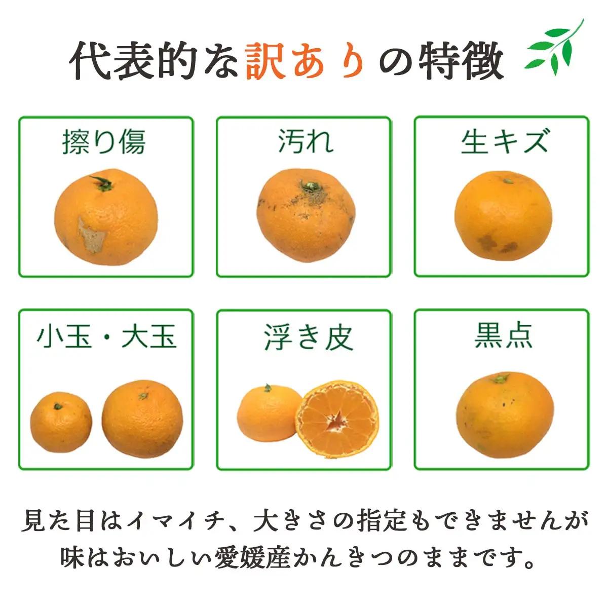【先行受付】【ご家庭用】甘平×まどんな 1.5kg 「紅プリンセス」と同品種 愛媛果試48号【C25-316】【1713692】 YWTAP257