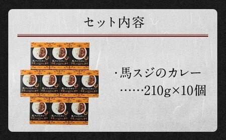 馬スジのカレー 10食セット 2.1kg 210g×10 馬肉 馬スジ カレー レトルト お肉 惣菜 タレ付