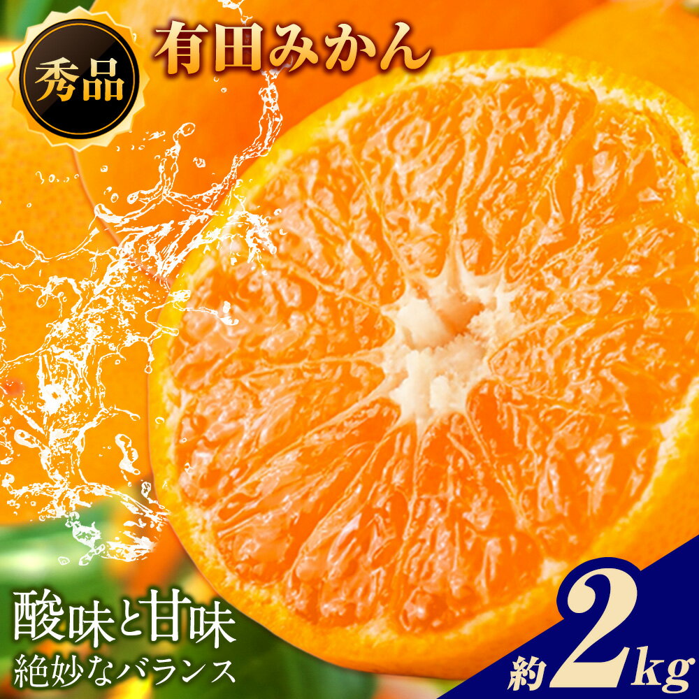 【ふるさと納税】【先行予約】秀品 有田みかん 約2kg 株式会社魚鶴商店《2025年11月下旬-2026年12月下旬頃出荷》和歌山県 日高川町 有田みかん ミカン 蜜柑 フルーツ 柑橘