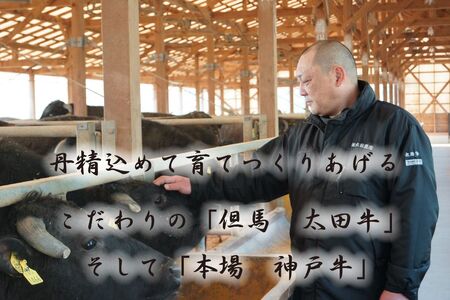 神戸牛(神戸ビーフ)訳あり 切り落とし肉（ばら・もも・かた）　500ｇ