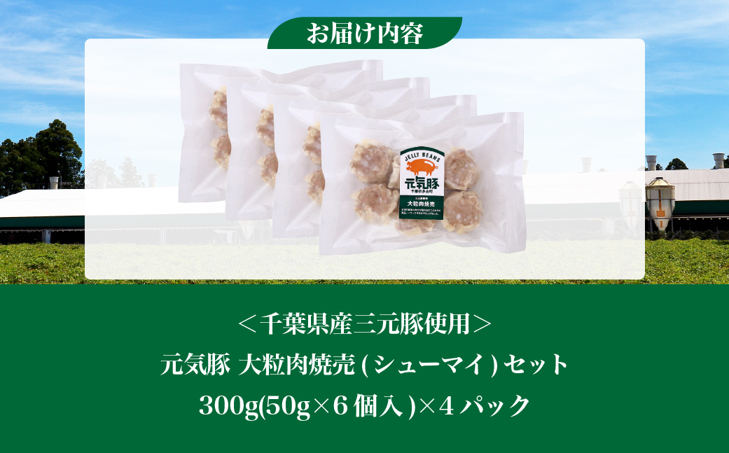 元気豚　大粒肉焼売　4パックセット【配送不可地域：離島・沖縄県】【1459599】 TAKB050