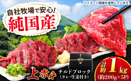 『純国産』熊本の味 上赤身 馬刺し 計約1kg（約200g×5パック）ブロック チルド 冷蔵 タレ付き   馬刺し 馬刺し 馬刺し 馬刺し 馬刺し [AYCN036]