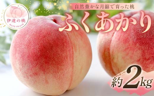 
                  【2026年出荷分先行予約】福島県産 ふくあかり 約2kg (6～8玉) 森果樹園 自然豊かな月舘で育った桃 伊達の桃 桃 フルーツ 果物 もも モモ momo F21C-050
                