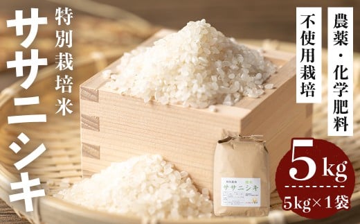 ≪令和7年産≫ 登米市産 ササニシキ 5kg×1袋 特別栽培米 農薬・化学肥料不使用 精米 お米 おこめ 米 コメ 白米 ご飯 ごはん おにぎり お弁当 【株式会社いなほ】tm550