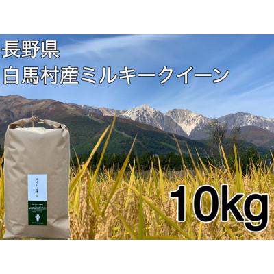 ふるさと納税 白馬村 白馬産ミルキークイーン 白米 10kg