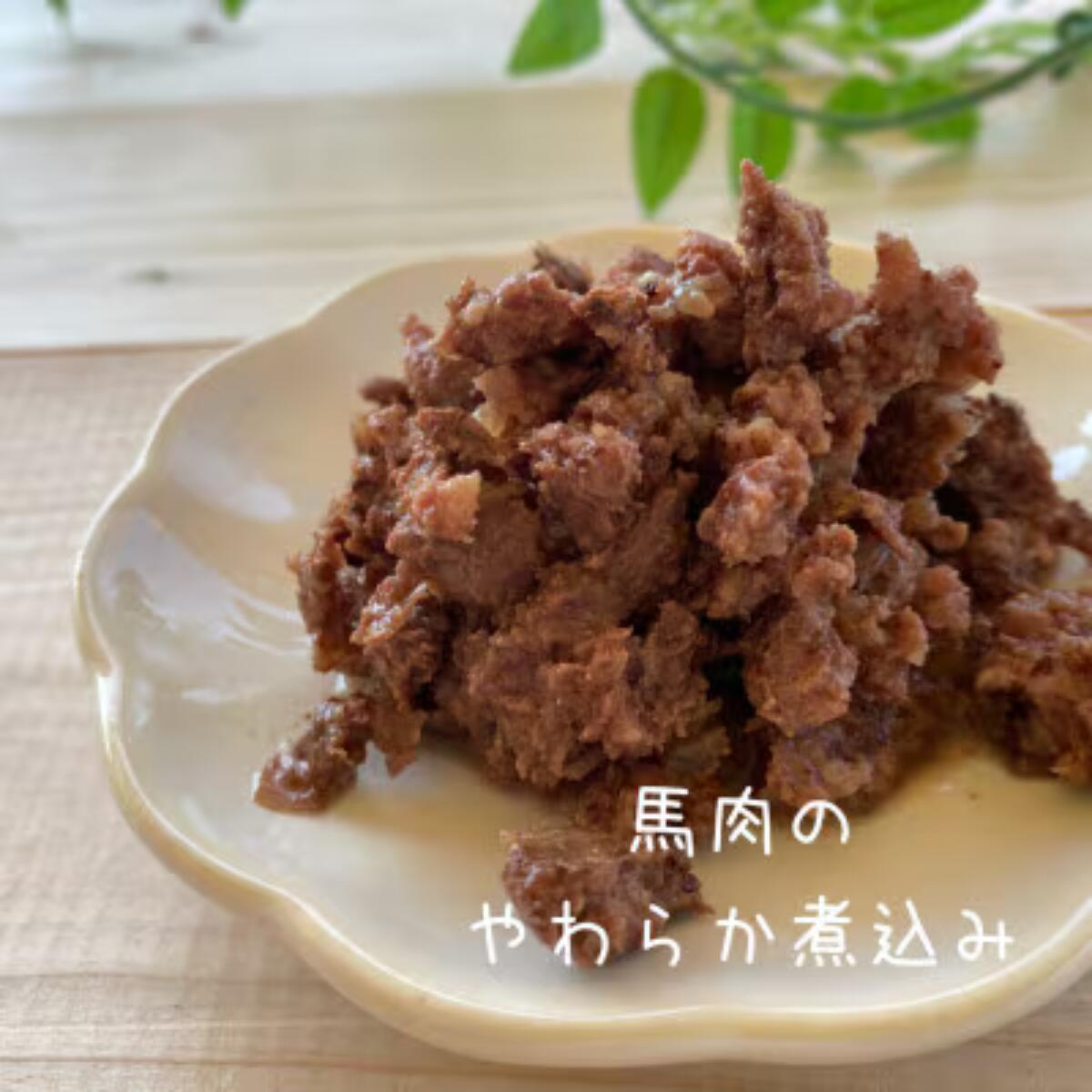 【ふるさと納税】【無添加・ドッグフード】馬肉のやわらか煮込み レトルト 300g (60g×5袋) | win-site | 国産 手作り 無添加 わんちゃん 犬 ペットフード おやつ ペット用品 ペット ヘルシー 高タンパク ご褒美 栄養満点 | 大阪府 能勢町 送料無料