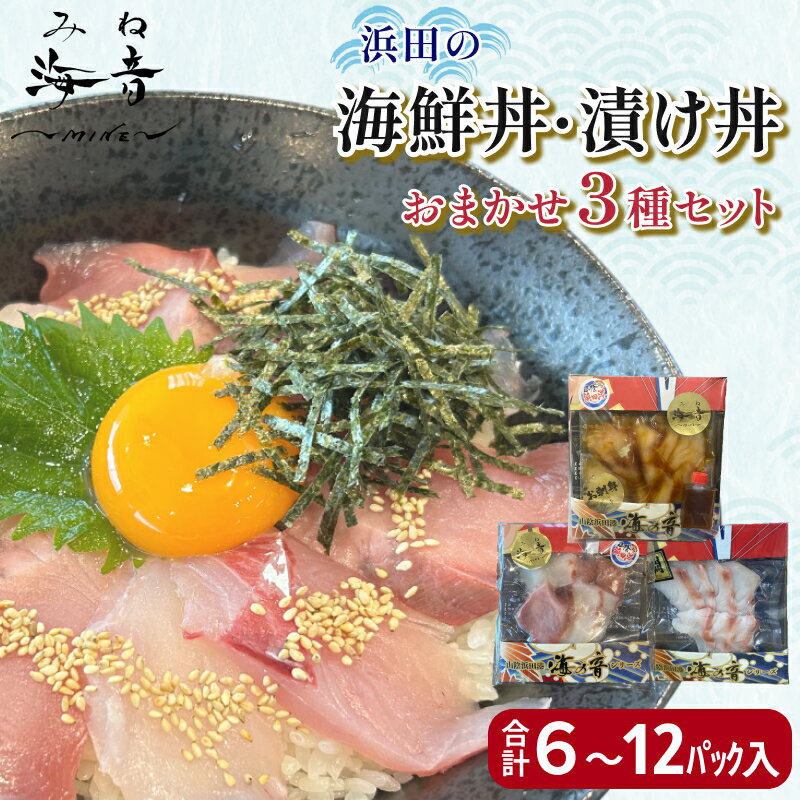 【ふるさと納税】浜田の海鮮丼・漬け丼おまかせ3種セット【6パック～12パック】選べる 内容量 海鮮漬け 丼 3種セット 小分け 簡単 簡単調理 冷凍 ふるさと納税 魚
