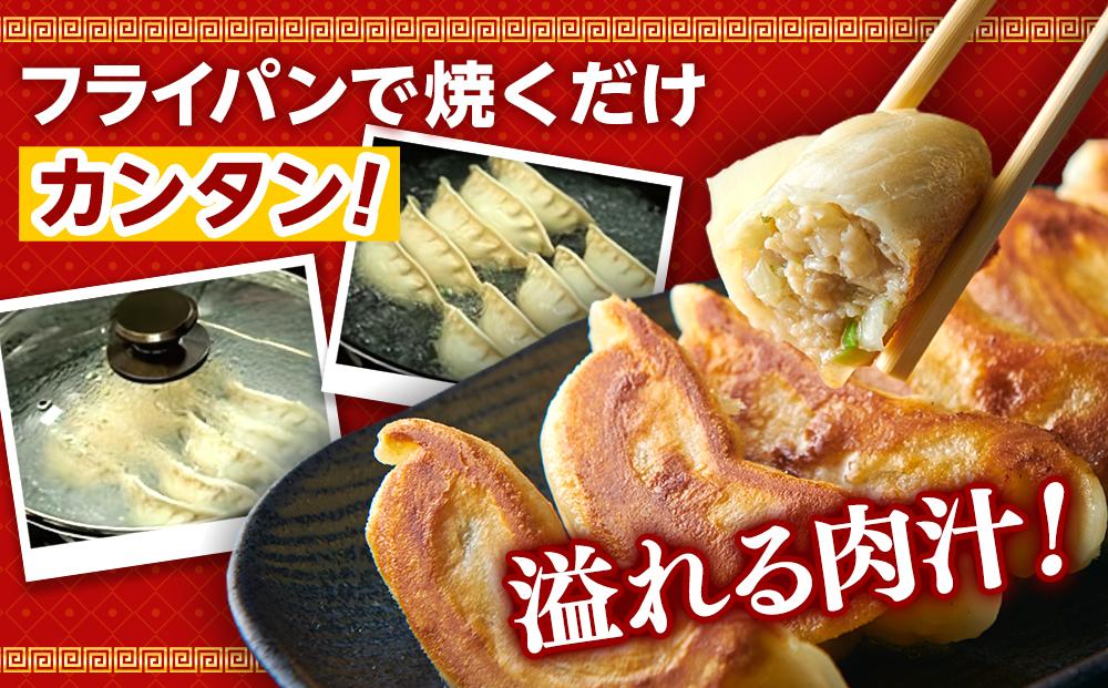 全て国産食材、銘柄豚使用！肉汁あふれる！【横浜大宝餃子】もちもち国産ジャンボ大宝餃子30個ともちもち水餃子40個 老舗餃子メーカー 横浜中華 焼餃子 冷凍餃子 ギョーザ ぎょうざ 大きい 中華 おかず