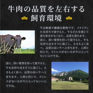 HA-03　大山黒牛ローススライス 600g