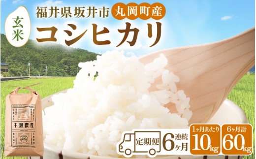 【令和8年産・新米】【6ヶ月連続お届け】福井県坂井市丸岡町産 コシヒカリ10kg×6回　計60kg（玄米） [K-11304_02]
