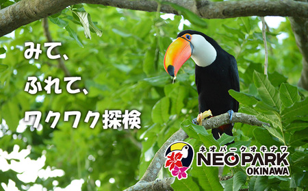 ネオパークオキナワ入場・園内利用券（5000円分） 沖縄 おきなわ 名護市 テーマパーク 沖縄本島 チケット 券 動植物 動物 植物 優待券 利用券 入場券 招待券 観光 送料無料 春休み 夏休み 旅