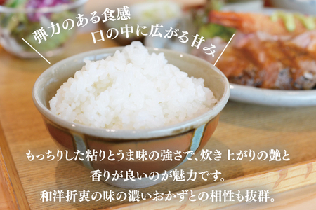 AU014 山﨑観光農園のお米　コシヒカリ　白米6kg