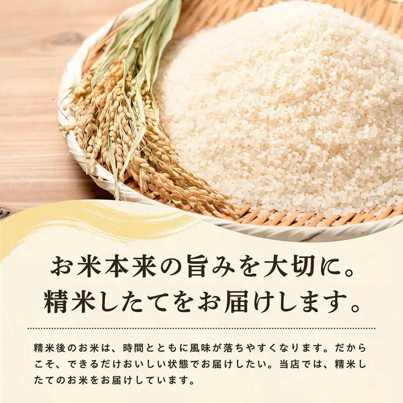 《 9回定期便 》 米 令和8年産 あきたこまち 無洗米 3kg×9回 秋田県産 米 一等米 ブランド米 27キロ  精米 精米したて 一人暮らし 秋田 能代 能代市 送料無料 《こまちライン》