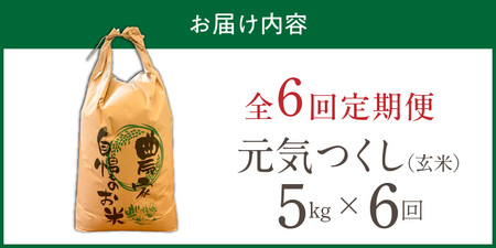 【定期便6回】【令和8年産 新米】福岡県産ブランド米元気つくし 玄米 5kg×6回 _  元気つくし 5kg お届け回数 6回 定期便 福岡県産 ブランド米 新米 福岡生まれ 品種 香り豊か ふっくら