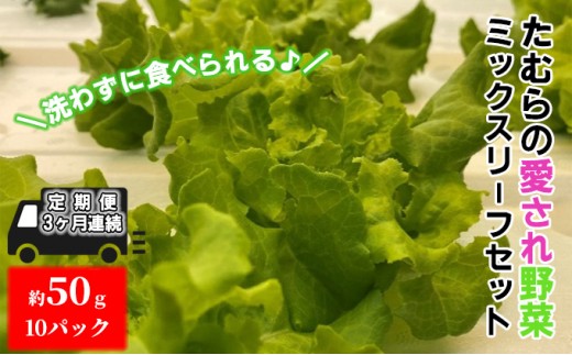 
[№5819-0299]【定期便 3ヶ月連続】洗わずに食べられる！たむらの愛され野菜 ミックスリーフセット　10個

