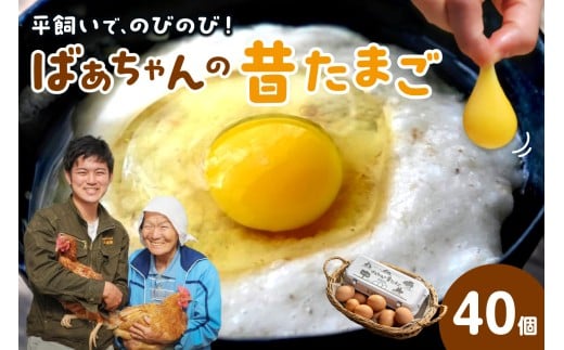 平飼いで のびのび養鶏！ばあちゃんの昔たまご（計40個）割れ保証あり 129-B611