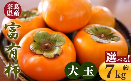 富有柿 7.0kg 箱 大玉 サイズ（ 22個 ～ 24個 ） | フルーツ くだもの 果物 柿 かき カキ 奈良県 五條市 果実 11月 12月 発送 秋 旬 味覚 グルメ お取り寄せ 送料無料 大容量 選べる 容量 農家直送 産地直送 ビタミン タンニン 食物繊維 豊富 美容 健康 熊代農園 特産品 多汁 甘い 柔らかい ジューシー 甘柿 大きい