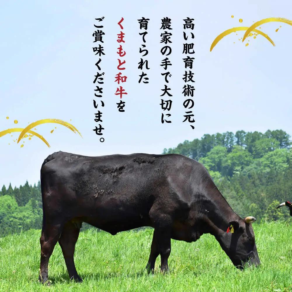 【3回定期便】くまもと黒毛和牛 サーロインステーキ 計800g（4枚）【馬刺しの郷 民守】  サーロインステーキ 熊本 和牛 国産  [ZBL053]