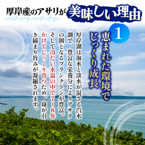 厚岸産 大きなあさり 1kg 漁師から直で仕入れ！砂出し済 アサリ あさり