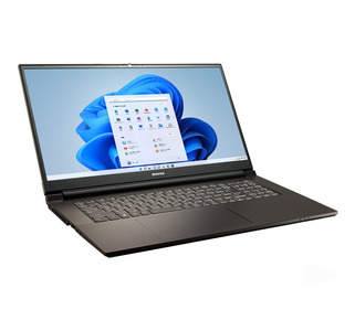 マウスコンピューター 17.3型ノートパソコン Corei7 16GB 500GB RTX2050｢made in 飯山｣(1690)