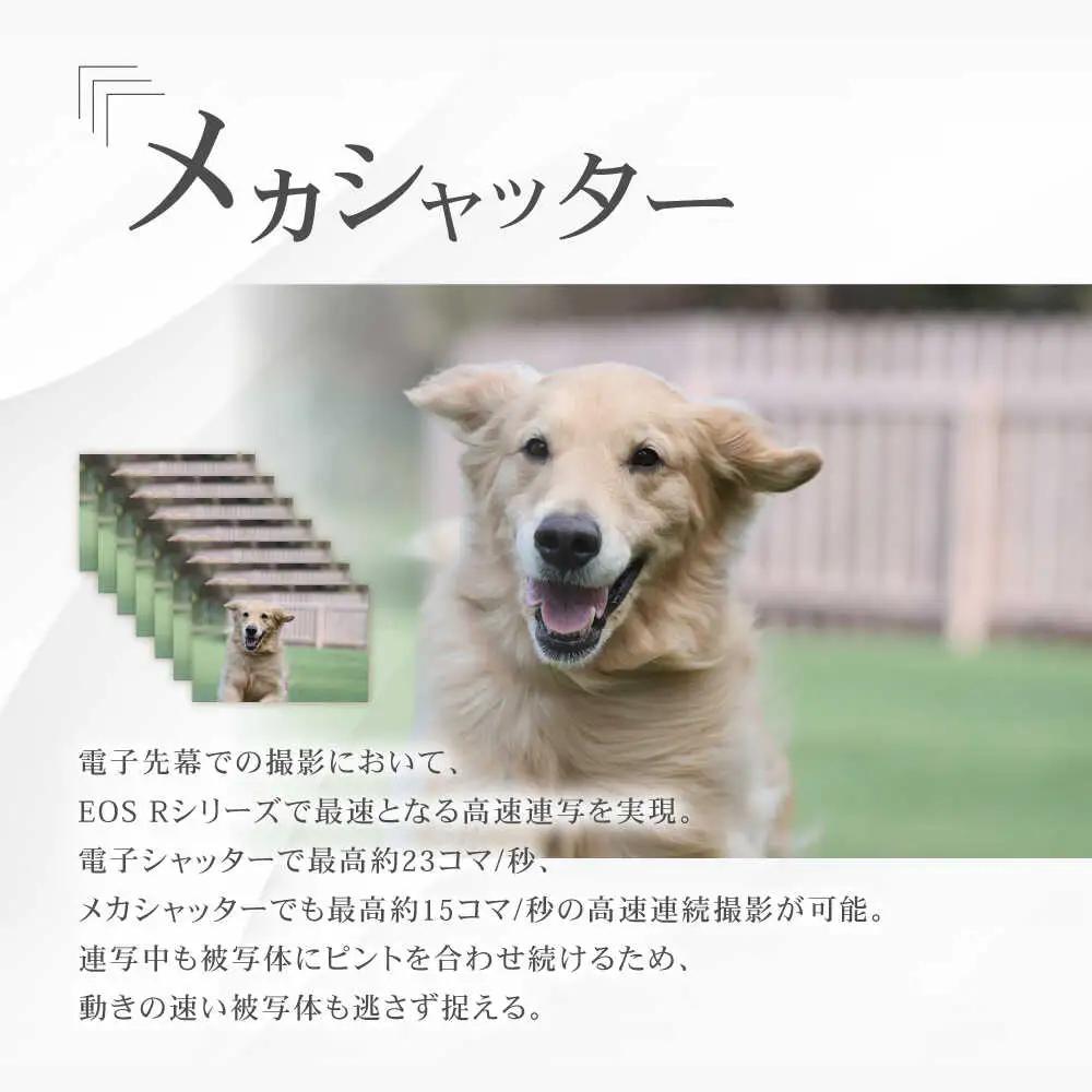 Canon EOS R10 ボディのみ 1年保証【長崎キヤノン】[MA15] キャノン 一眼 カメラ AF