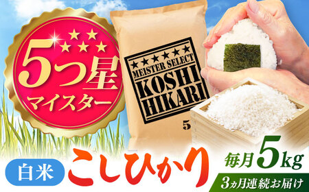 【全3回定期便】令和7年産 こしひかり 白米 5kg / 定期便 / 佐賀県 [41ANAD036]
