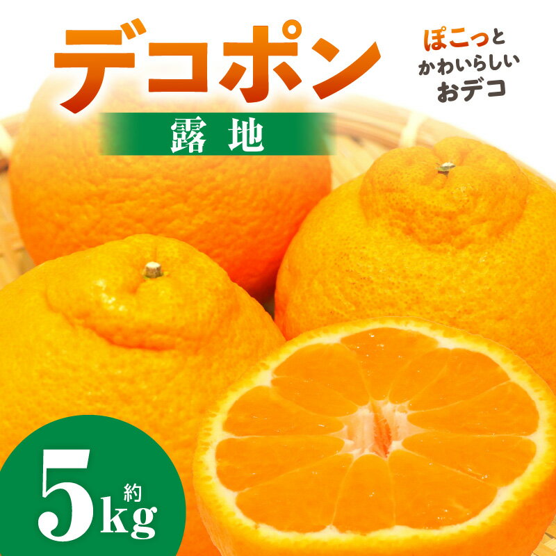 【ふるさと納税】デコポン(露地) 5kg デコポン みかん フルーツ 果物 旬 柑橘 デザート お裾分け 旬 旬の果物 おすすめ 人気 デザート 生鮮食品 果実 お取り寄せ 贈答用 贈り物 柑橘類 季節 季節の果物 柑橘系 香川県 三木町 送料無料