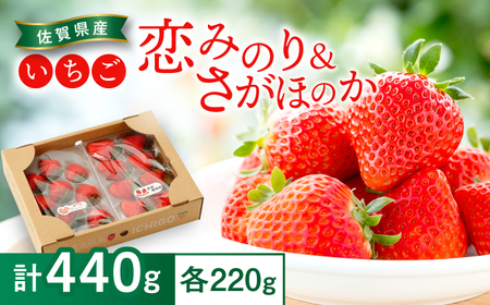 【2026年発送分 先行予約】恋みのり・さがほのか 各220g 詰め合わせセット / 佐賀県 / 鐘ヶ江農園 [41ASBK008]