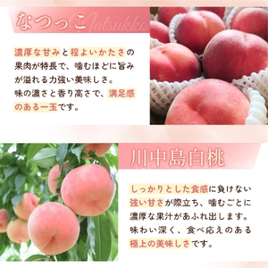 ＜甘い香りと果汁が自慢＞桃 6～8玉【2025年7月上旬～8月上旬頃順次発送】【A185-frks082】