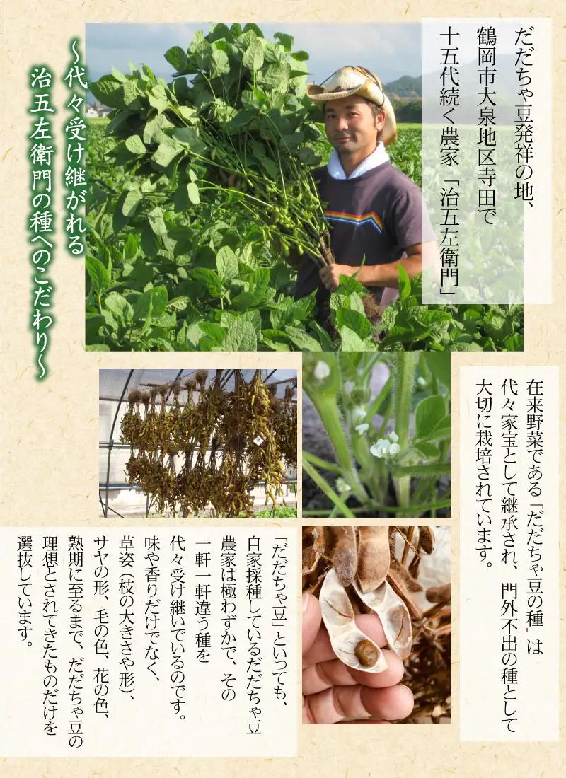 【令和8年産先行予約】【3回定期便】 山形セレクション認定！15代目「治五左衛門」の新鮮だだちゃ豆３種類食べくらべセット
