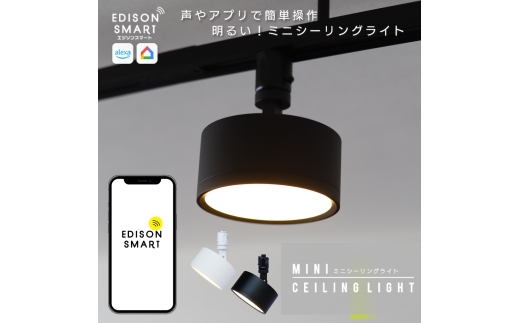 エジソンスマート ミニシーリングライト アーム付き(ダクトレール用) 福岡市【ブラック】