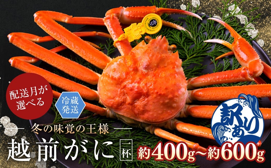 
            【月指定可】越前がに（オス）「ずわいがに」（400g～600g） 訳あり 1杯
          