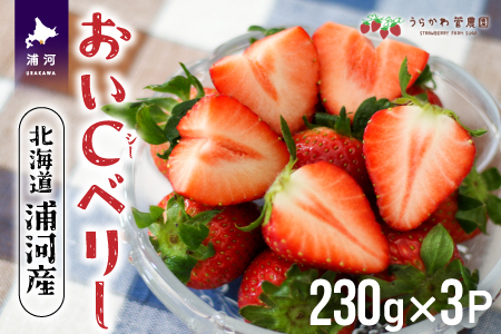 【先行受付開始！】北海道浦河産いちご「おいCベリー」230g×3P[13-1127]