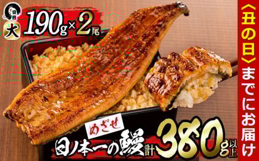 【丑の日までに配送】日ノ本一の鰻の蒲焼き＜大＞2尾(計380g以上) b0-211-us