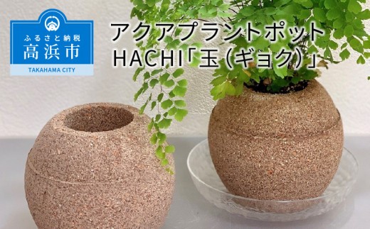 
                  アクアプラントポットHACHI「玉(ｷﾞｮｸ)」_33-115-1
                
