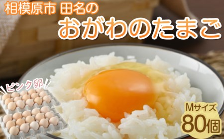 相模原市田名のおがわのたまご　ピンク卵（Mサイズ）75個＋割れ補償5個入り（計80個） 国産 濃厚 コク 旨味　鶏卵｜たまご