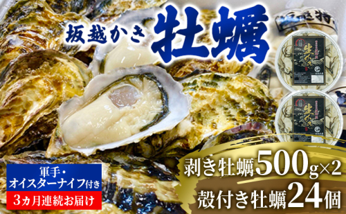 【発送月固定定期便】坂越かき 剥き身500g×2 殻付き24個 軍手・牡蠣ナイフ付全3回