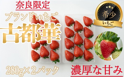 ※予約受付AD-66.【奈良県ブランドいちご】奈良県産「古都華（ことか）」280ｇ×2パック／12月発送