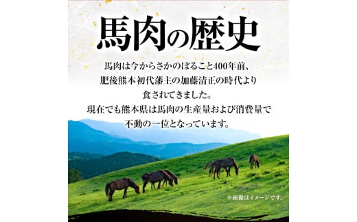 さくらトロフレーク 合計200g 100g×2個 タレ付き 《30日以内に出荷予定(土日祝除く)》 株式会社有佐スーパー---sh_farsstf_30d_23_14000_200g---