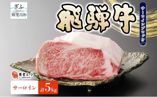 
                  飛騨牛 サーロイン ブロック 5kg 塊肉 和牛 黒毛和牛 牛肉 肉 ステーキ ローストビーフ 厚切りステーキ 焼肉 大容量 国産 国産牛 グルメ ギフト お取り寄せ 贈り物 送料無料 冷凍 養老ミート 岐阜県 揖斐川町
                