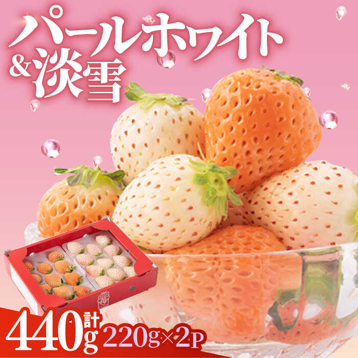【2026年1月以降発送】【産地直送】 白石産 希少 白いちご「淡雪」＆「パールホワイト」食べ比べ セット【ハヤシダファーム】 [ICQ001]