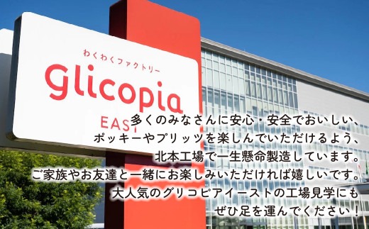 グリコ ビッグボックスセット 26種33個入り 12箱