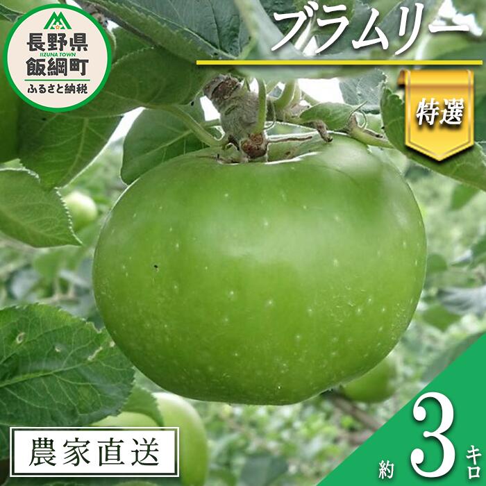 【ふるさと納税】 りんご ブラムリー 特選 3kg やまじゅうファーム 沖縄県への配送不可 信州の環境にやさしい農産物 減農薬栽培 令和7年度収穫分 長野県 飯綱町 【 信州 果物 フルーツ リンゴ 林檎 長野 】発送時期：2025年8月下旬〜