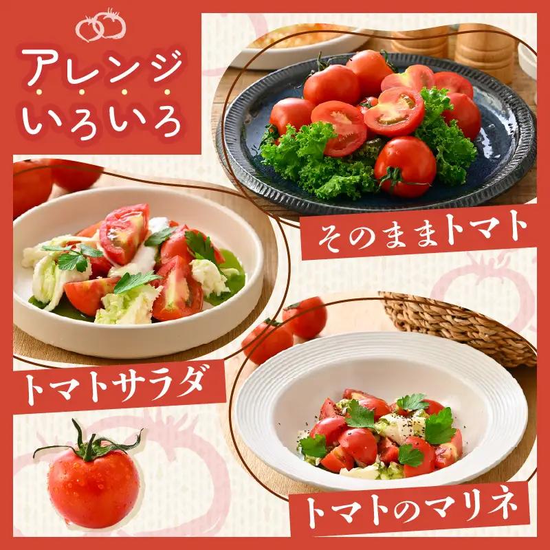 先行予約 完熟ミディトマト 2kg 中玉トマト 2026年10月上旬以降順次発送予定 [A-22102]