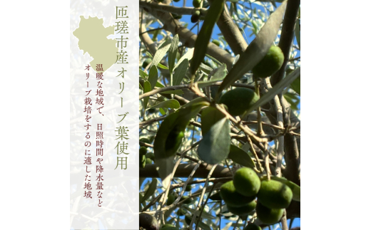 匝瑳オリーブ 千朋園　オリーブ茶　1袋 30g（2g×15パック） ／ お茶 オリーブ茶 オリーブ オレウロペイン ポリフェノール ティーバッグ